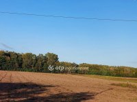 Eladó mezogazdasagi ingatlan, Ópusztaszeren 2.9 M Ft