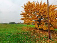 Eladó telek, Kemestaródfán 6.99 M Ft / költözzbe.hu