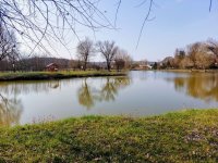 Eladó családi ház, Herencsényben 19.9 M Ft, 3 szobás