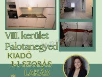 Kiadó téglalakás, albérlet, VIII. kerületben 250 E Ft / hó