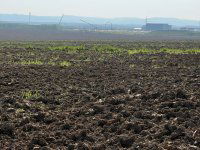 Eladó telek, Kispálin 55 M Ft / költözzbe.hu