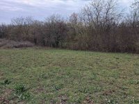 Eladó mezogazdasagi ingatlan, Balatonalmádiban 15 M Ft