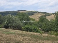 Eladó családi ház, Komlón 74.9 M Ft, 4 szobás