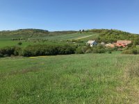 Eladó mezogazdasagi ingatlan, Pécselyen 12.9 M Ft