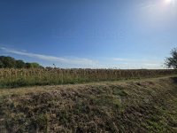 Eladó telek, Balatonkeresztúron 24.5 M Ft / költözzbe.hu