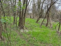 Eladó mezogazdasagi ingatlan, Pellérden 16 M Ft