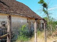 Eladó családi ház, Pincehelyen 9.9 M Ft, 2 szobás