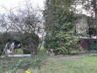 Eladó családi ház, Perbálon 134.9 M Ft, 5 szobás