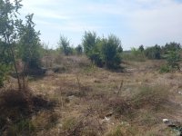 Eladó telek, Hevesen 1.7 M Ft / költözzbe.hu