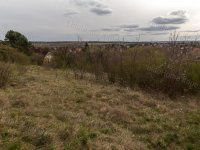 Eladó mezogazdasagi ingatlan, Kaposváron 1.5 M Ft