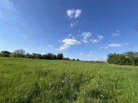 Eladó mezogazdasagi ingatlan, Dudaron 4.9 M Ft