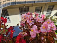 Eladó iroda, IX. kerületben 63.9 M Ft / költözzbe.hu