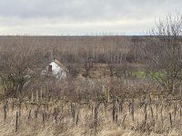 Eladó mezogazdasagi ingatlan