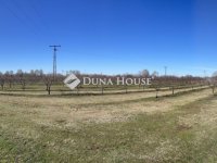 Eladó mezogazdasagi ingatlan, Dabason 115 M Ft, 6 szobás