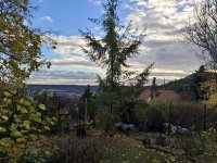 Eladó telek, Budaörsön, Naphegy utcában 110 M Ft