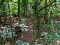 Eladó nyaraló, Nemesbükön 21.9 M Ft, 1 szobás