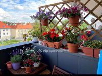 Eladó téglalakás, Győrött 94.99 M Ft, 3 szobás