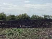 Eladó mezogazdasagi ingatlan, Gyomaendrődön 62.7 M Ft
