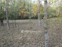 Eladó mezogazdasagi ingatlan