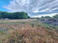 Eladó telek, Tiszakécskén 3.5 M Ft / költözzbe.hu