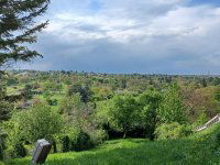 Eladó telek, Sopronban 45 M Ft / költözzbe.hu