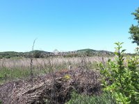 Eladó mezogazdasagi ingatlan, Fonyódon 6.5 M Ft