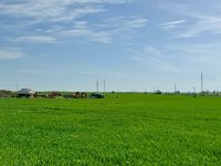 Eladó telek, Kesztölcön 11 M Ft / költözzbe.hu