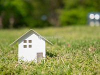 Eladó mezogazdasagi ingatlan, Domaszéken 62.575 M Ft