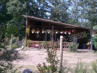 Eladó mezogazdasagi ingatlan, Lajosmizsén 54.5 M Ft