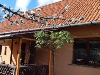 Eladó családi ház, Szolnokon 59 M Ft, 3+1 szobás