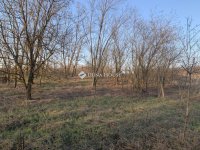 Eladó telek, Őrbottyánban 6.2 M Ft / költözzbe.hu