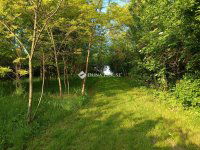 Eladó családi ház, Tengődön 36 M Ft, 4 szobás