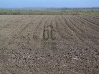 Eladó mezogazdasagi ingatlan, Siófokon 18 M Ft