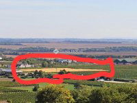 Eladó telek, Villányban 39.99 M Ft / költözzbe.hu