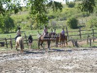 Eladó mezogazdasagi ingatlan, Zsámbékon 248 M Ft, 5 szobás