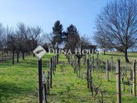 Eladó telek, Hatvanban 6.5 M Ft / költözzbe.hu