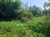 Eladó családi ház, Sajópüspökin 12.2 M Ft, 4+1 szobás