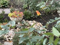 Eladó panellakás, Algyőn 47.5 M Ft, 1+1 szobás