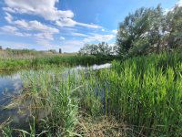 Eladó családi ház, Szigetszentmiklóson 87 M Ft, 2 szobás