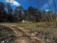 Eladó mezogazdasagi ingatlan, Dabason 120 M Ft