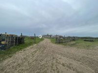 Eladó mezogazdasagi ingatlan, Domaszéken 160 M Ft