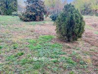 Eladó családi ház, Versenden 16.9 M Ft, 4 szobás