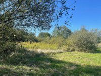 Eladó telek, Nyíregyházán 13 M Ft / költözzbe.hu