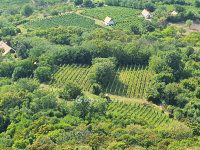 Eladó mezogazdasagi ingatlan, Gyulakeszin 19 M Ft