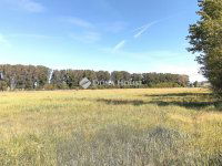 Eladó telek, Dorogon 224 M Ft / költözzbe.hu