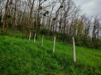 Eladó telek, Kehidakustányban 170 M Ft / költözzbe.hu