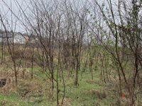 Eladó telek, Szadán 59.9 M Ft / költözzbe.hu