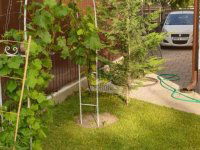 Eladó családi ház, XV. kerületben 198.9 M Ft, 5 szobás