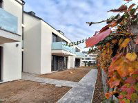 Kiadó téglalakás, albérlet, Szegeden 210 E Ft / hó, 2 szobás