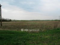 Eladó telek, Röszkén 100 M Ft / költözzbe.hu